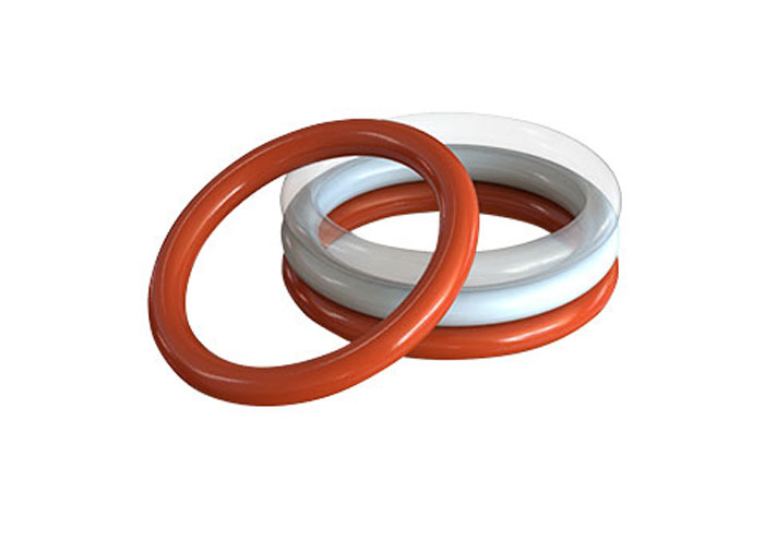 Expanded PTFE Ring Gasket at Lowest Price in Vadodara - Manufacturer, Supplier,Exporter,India