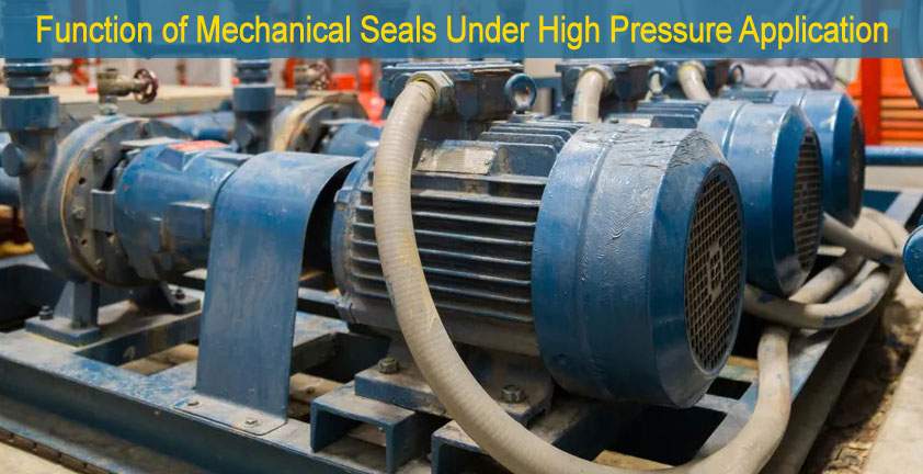 Mechanical seals for high pressure appliaction