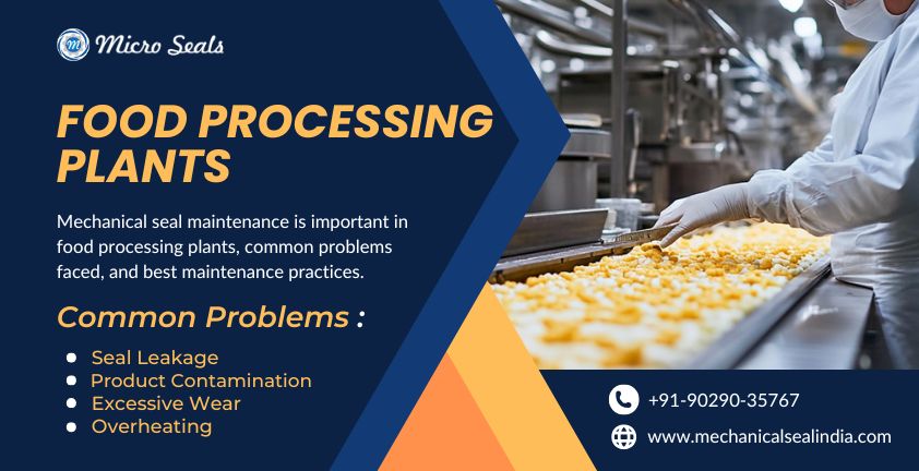 Mechanical Seal for Food Processing Plants